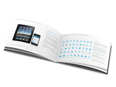 Graphic and Icon Guidelines